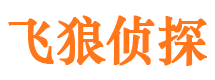 汤阴市私家侦探